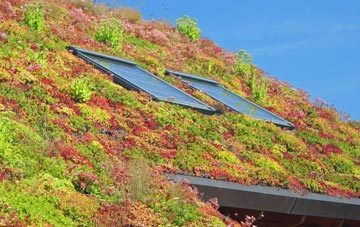 Otley living roof systems